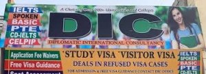 DIC Designated International Consultants